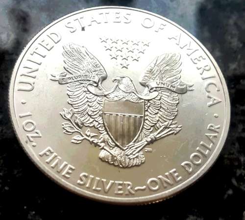 2013 BRILLIANT UNC USA LIBERTY 999 SILVER DOLLARS.  6 avaliable.  Bid is per coin