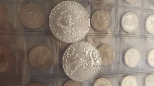2017 Pure SILVER AMERICAN  DOLLARS. 1 Ounce of pure silver each