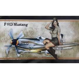 Mustang  P 51D, Big metal sign.