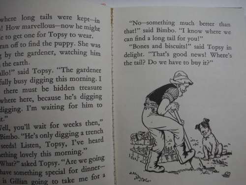 Bimbo and Topsy by Enid Blyton