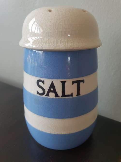 LARGE 12 cm x 7.5 cm!!!! Cornish Kitchen Ware!! TG Green and Co ltd. Made in England Salt Shaker!!