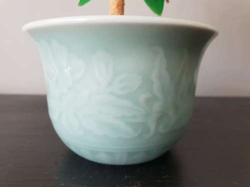 Absolutely Stunning Oriental Glass Plant!!