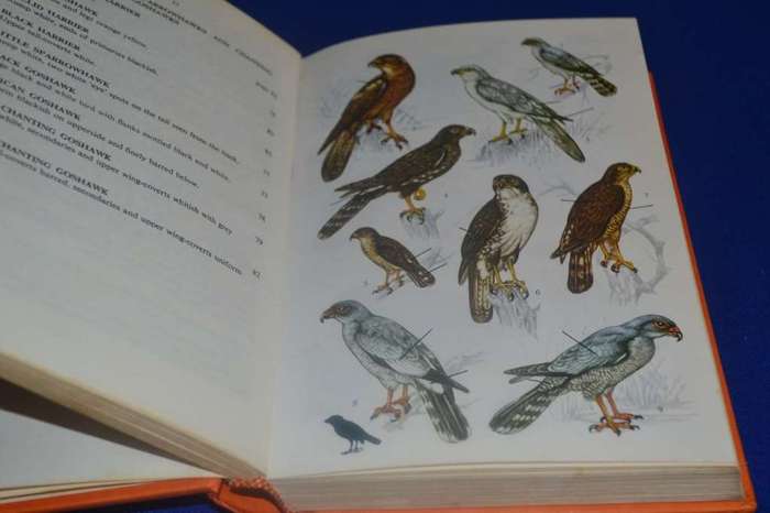 A Field Guide to the Birds of Southern Africa By O.P.M. Prozesky