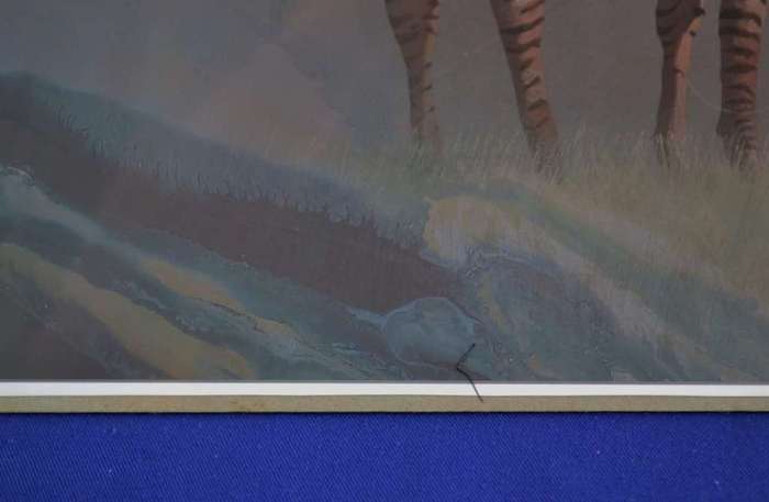 Malachi Smith `Collectors Print`  Lone Zebra - Unframed