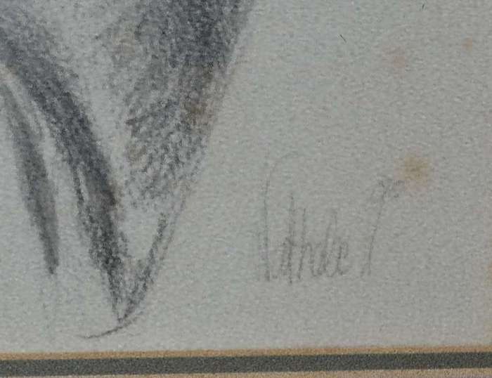 Pencil / Charcoal? Portrait - Signed, Framed Behind Glass