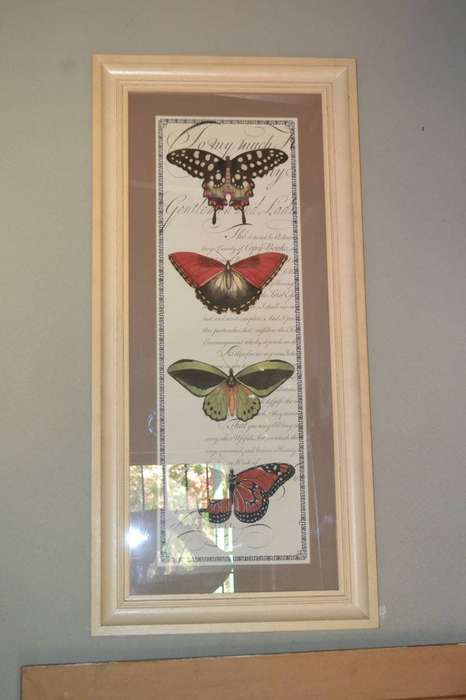 Large Vintage Stle Butterfly Print - Framed behind Glass