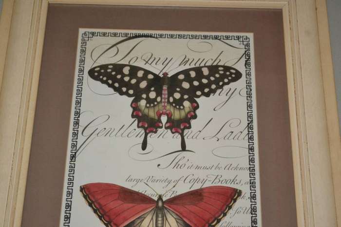 Large Vintage Stle Butterfly Print - Framed behind Glass