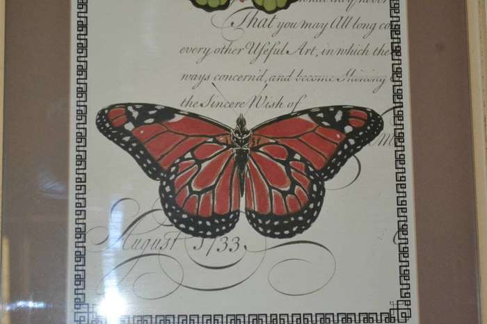Large Vintage Stle Butterfly Print - Framed behind Glass