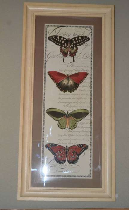 Large Vintage Stle Butterfly Print - Framed behind Glass