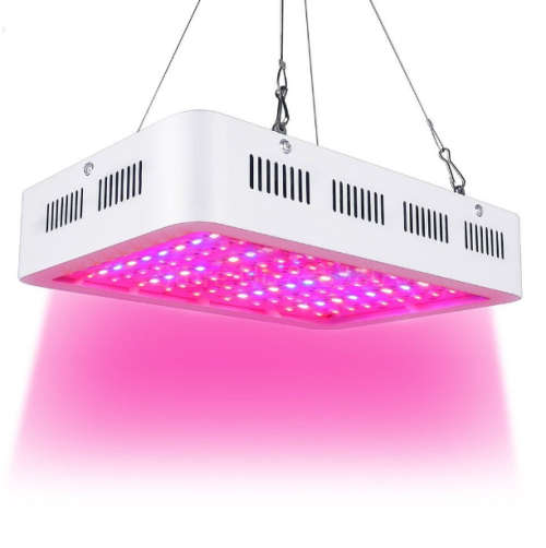 Best LED Grow Light 1000W Full Spectrum for Indoor Hydroponic Plant