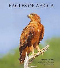 `EAGLES OF AFRICA` BY JOHANN KNOBEL, FOREWORD BY PETER STEYN AND SPECIALIST ADVISER ALAN KEMP