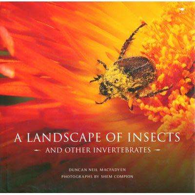 `A LANDSCAPE OF INSECTS AND OTHER INVERTEBRATES` BY DUNCAN NEIL MACFADYEN