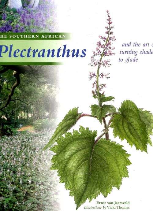 THE SOUTHERN AFRICAN PLECTRANTHUS AND THE ART OF TURNING SHADE TO GLADE BY ERNST VAN JAARSVELD