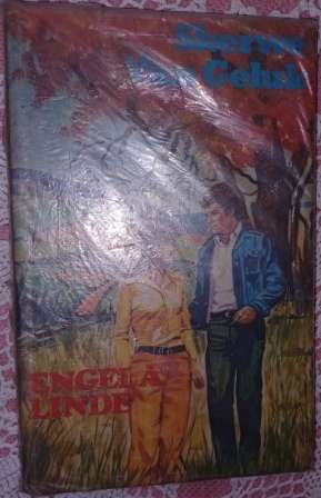 skerwe van Geluk   Engela Linde