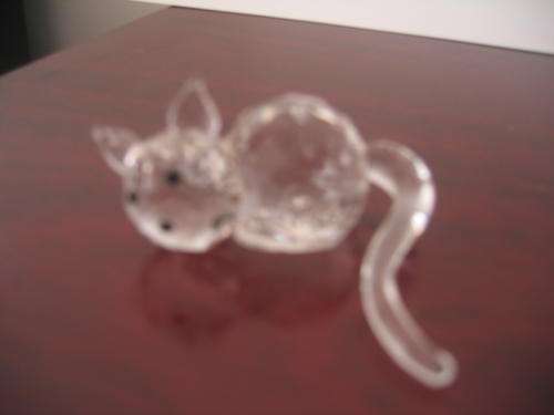 Cat laying down 6 cm long