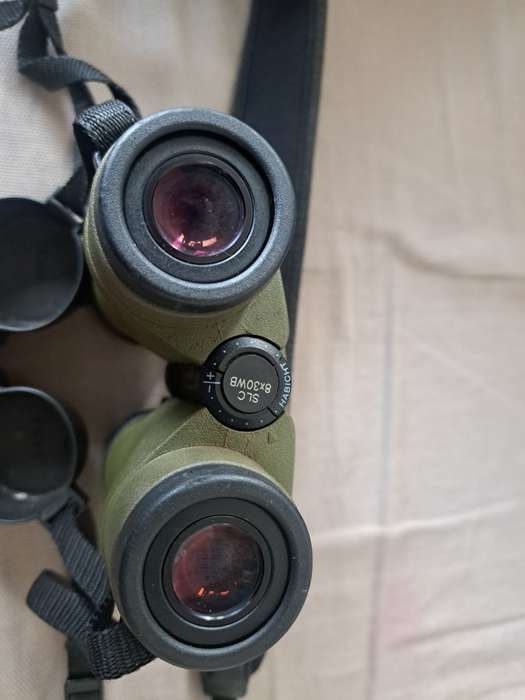 Swarovski Binoculars (Faulty)