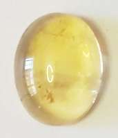 1.550ct Natural CITRINE Cabochon 9 x 7 x 3.5mm