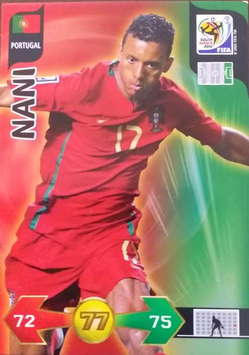 2010 Fifa world cup - Portugal - Nani
