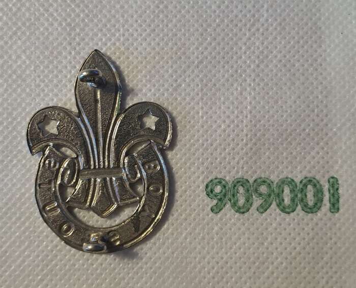 SOUTH AFRICA BOY SCOUTS PIN EMBLEM INSIGNIA