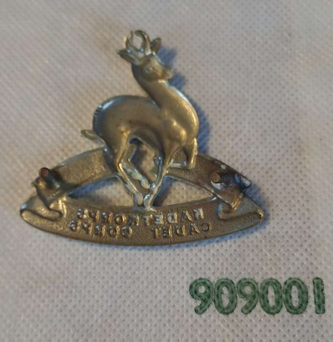South African Army Cadet Corps cap badge