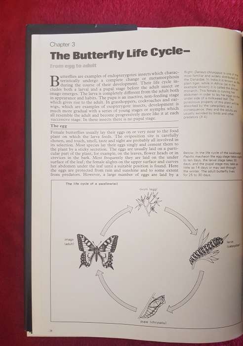 The Illustrated Encyclopedia of the BUTTERFLY WORLD over 2000 species reproduced life size