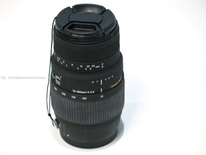 SIGMA DG 70-300mm Telephoto Zoom Lens for Canon DSLR Cameras