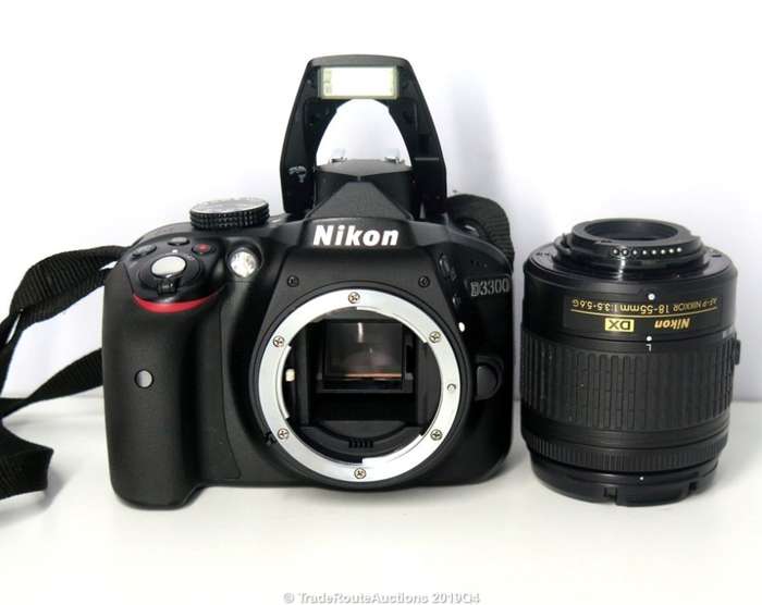 Nikon D3300 24.2 MP CMOS Digital SLR with AF-P DX NIKKOR 18-55mm f/3.5-5.6G Zoom Lens (Black)