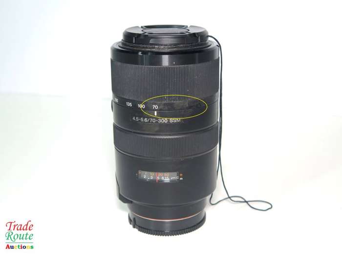 Sony SAL70300G 70-300mm f/4.5-5.6 SSM ED G-Series Compact Super Telephoto Zoom Lens