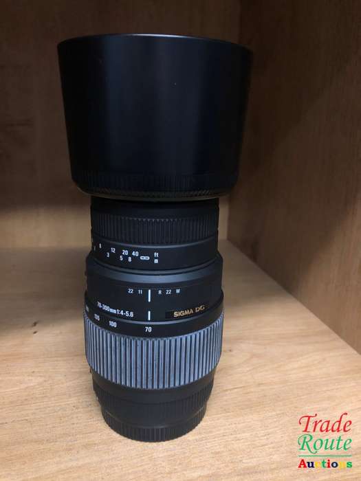 SIGMA DG 70-300mm Telephoto Zoom Lens for Canon DSLR Cameras