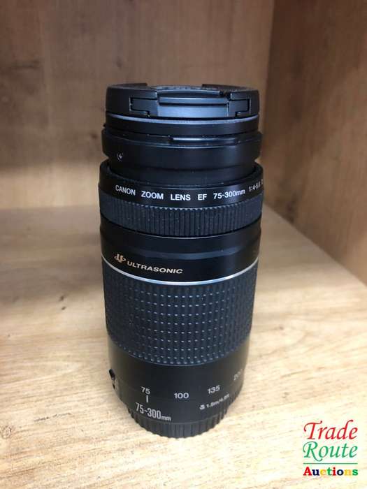 Canon EF 75-300mm 4-5.6 Mark iii USM Telephoto Zoom Lens