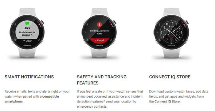 Garmin Forerunner 45S Watch