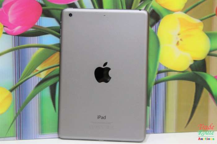 Apple iPad mini 2 Wi-Fi 32GB Space Gray ME277B/A  - A1489