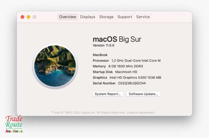 MacBook `Core M` 1.2Ghz 12 inch RETINA SILVER (Early 2015 Model) | 8GB RAM | 256GB SSD | 2304x1440