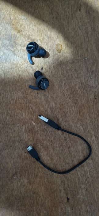 Philips Sport Earphones Black