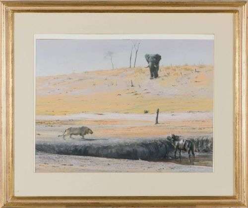 paul bosman - wildlife art - elephant and lion at waterhole