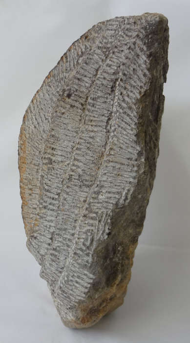 moyo - bird - shona stone sculpture