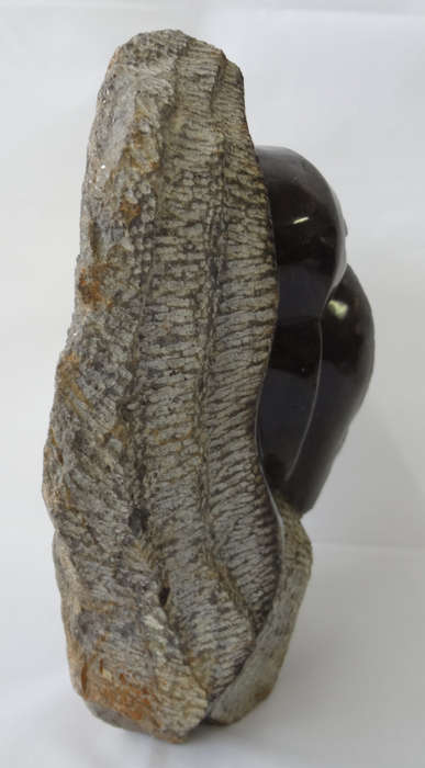 moyo - bird - shona stone sculpture