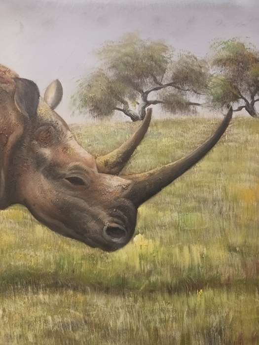 rhino wildlife oil painting