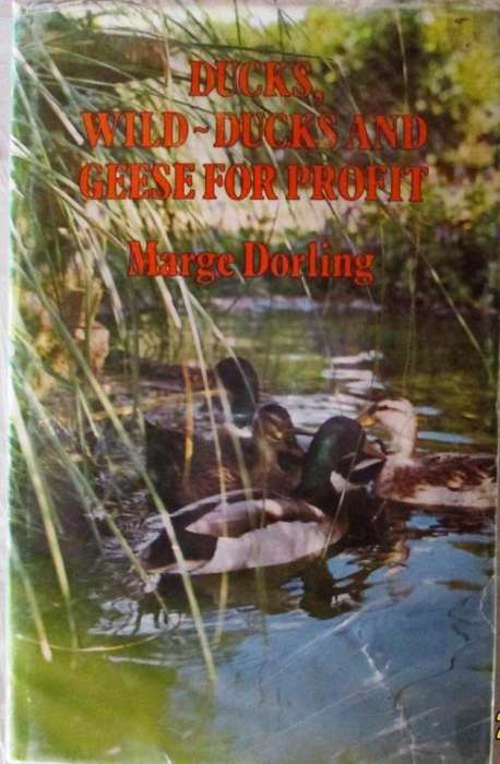 Ducks, Wild-Ducks and Geese for Profit