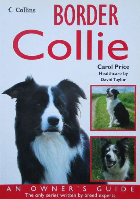 Border Collie an Owner`s Guide