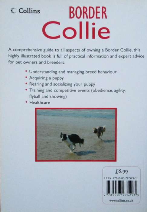 Border Collie an Owner`s Guide
