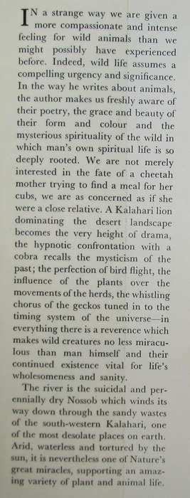 Song of a dry river
