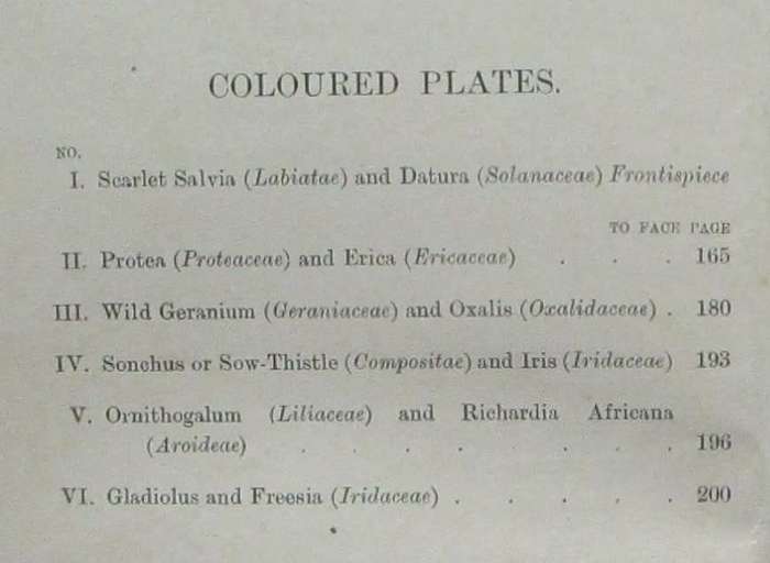 South African Botany