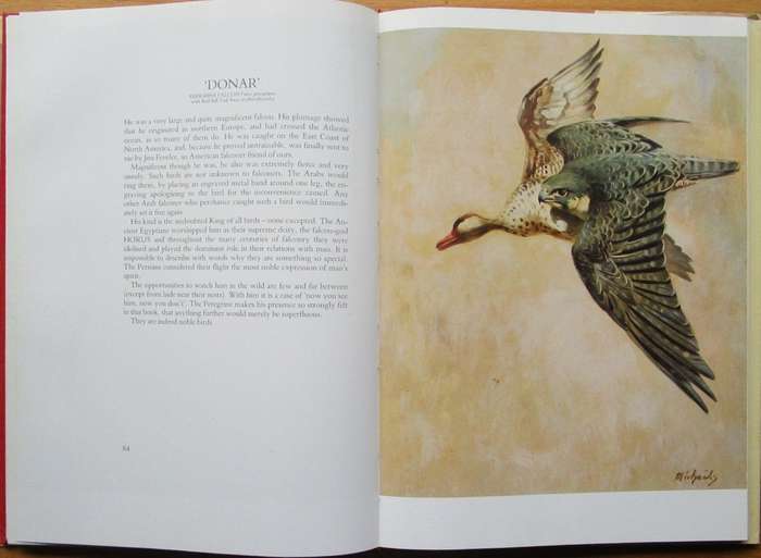 Birds of prey: A kinship