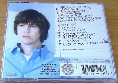 THURSTON MOORE of SONIC YOUTH Psychic Hearts