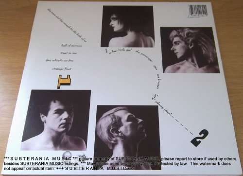 SIOUXSIE AND THE BANSHEES Through the Looking Glass Vinyl LP