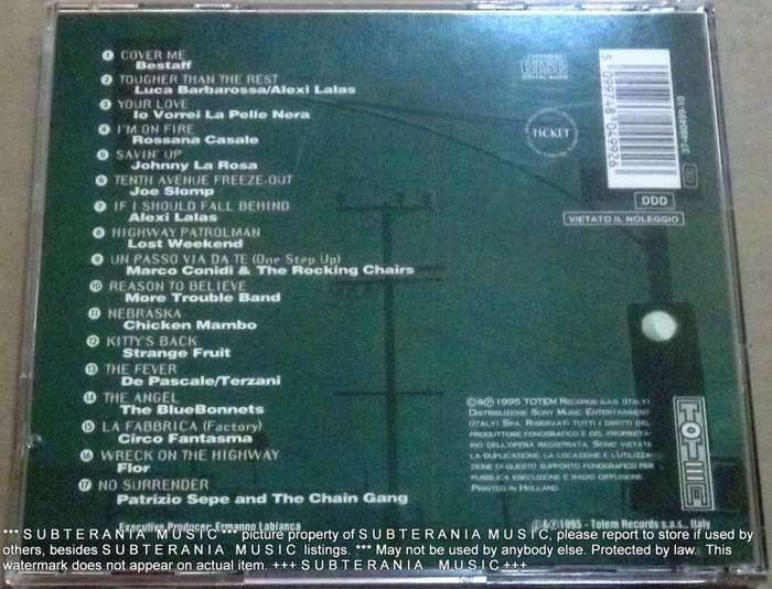 For You Tribute to BRUCE SPRINGSTEEN   [Shelf G Box 16]