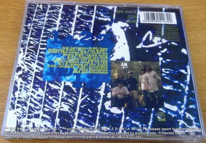 GIN BLOSSOMS New Miserable Experience  [Shelf G Box 20]
