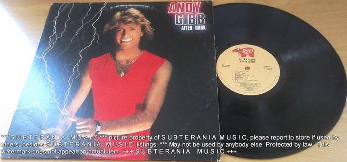 ANDY GIBB After Dark Vinyl Record