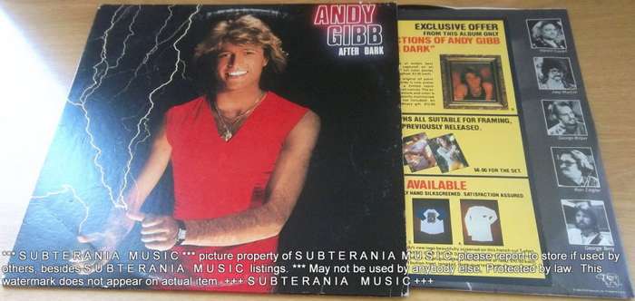 ANDY GIBB After Dark Vinyl Record